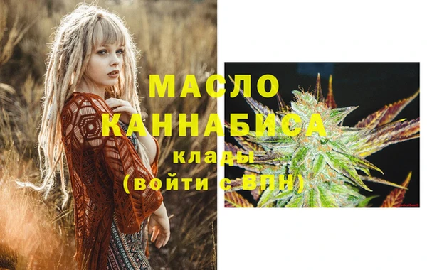 молекула духа Лабытнанги