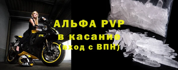 индика Домодедово