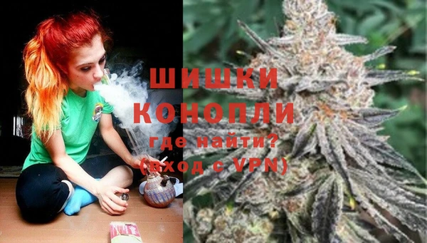 молекула духа Лабытнанги