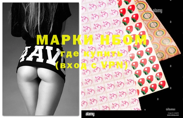 молекула духа Лабытнанги