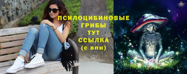 молекула духа Лабытнанги