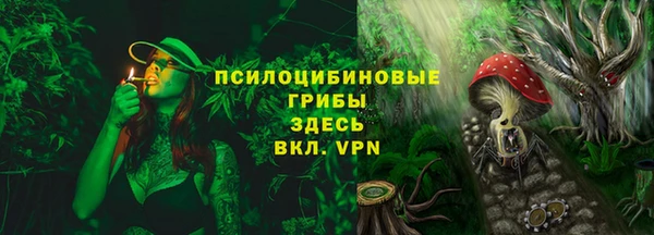 меф Ладушкин