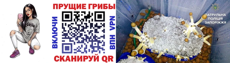 Псилоцибиновые грибы мицелий  Яранск 